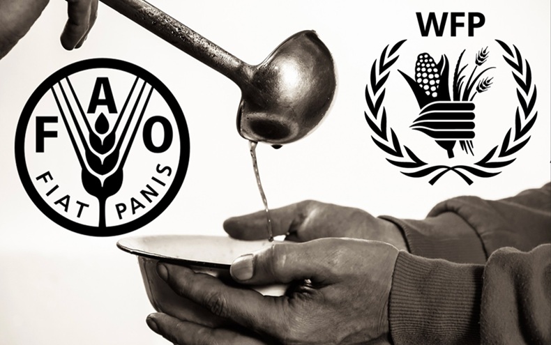 ¿Cómo es posible que el hambre siga avanzando en el mundo? ¿Cómo es posible que el hambre siga avanzando en el mundo?