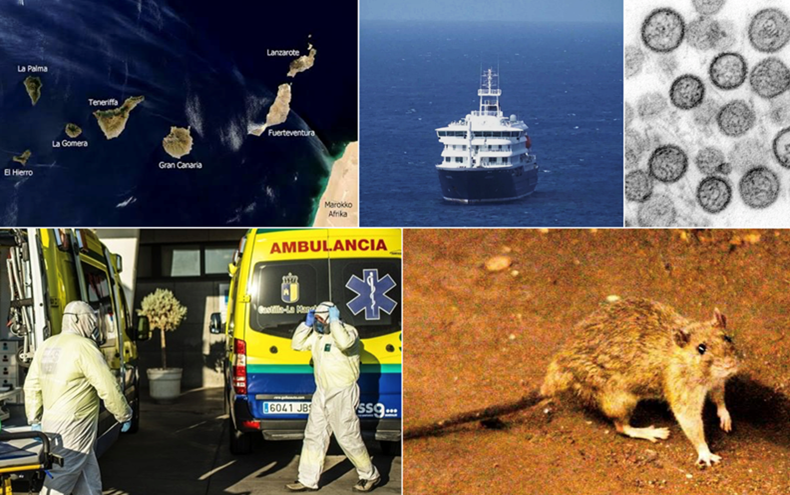 Canarias Hantavirus